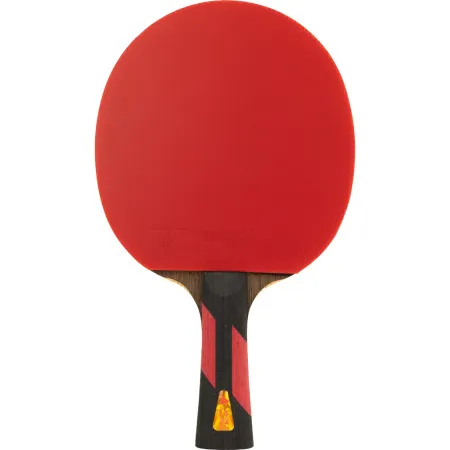 Ракетка для н/т DOUBLE FISH 7A+C, для професс.,ITTF Appr.,накл.2,1мм,+ 2 мяча V40+мм ITTF Appr за 3&nbsp;559.80 ₽ купить в Барнауле