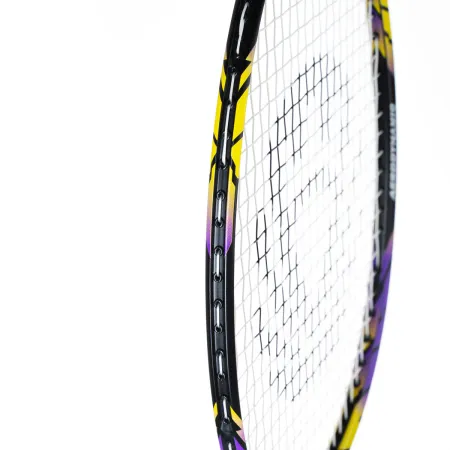 Ракетка бадм. TORRES Carbon PRO6, BD20521,для продв., стерж/обод из карбона,со струнами, фиол за 4&nbsp;477.80 ₽ купить в Барнауле