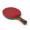 Ракетка для н/т DOUBLE FISH 7A+C, для професс.,ITTF Appr.,накл.2,1мм,+ 2 мяча V40+мм ITTF Appr за 3&nbsp;559.80 ₽ купить в Барнауле