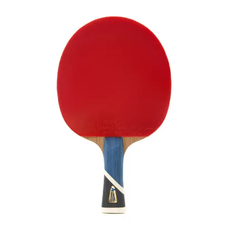 Ракетка для н/т DOUBLE FISH 5A+C, для продвин, ITTF Appr, накл. 2,1 мм, конич. ручка+ 2 мяча V40+мм за 2&nbsp;779.50 ₽ купить в Барнауле