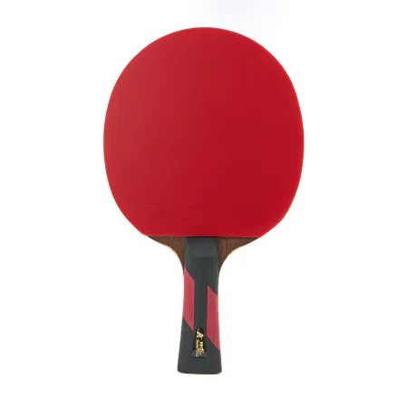 Ракетка для н/т DOUBLE FISH 7A+C, для професс.,ITTF Appr.,накл.2,1мм,+ 2 мяча V40+мм ITTF Appr за 3&nbsp;559.80 ₽ купить в Барнауле