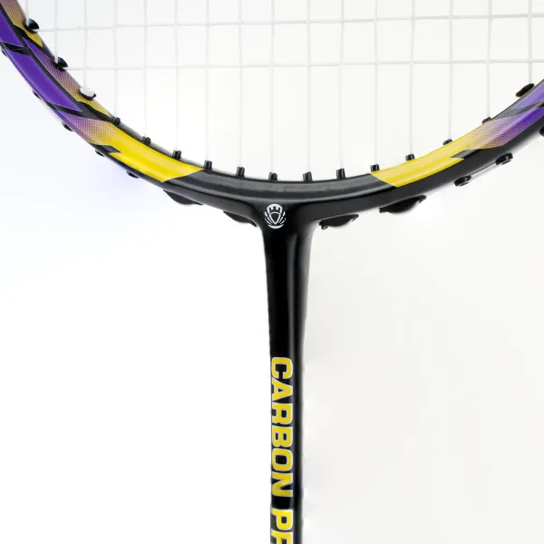 Ракетка бадм. TORRES Carbon PRO6, BD20521,для продв., стерж/обод из карбона,со струнами, фиол за 4&nbsp;477.80 ₽ в Барнауле